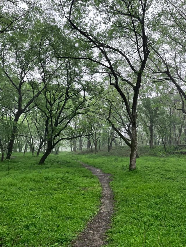 和城市斷交一天，杭州1h直達富春山居圖