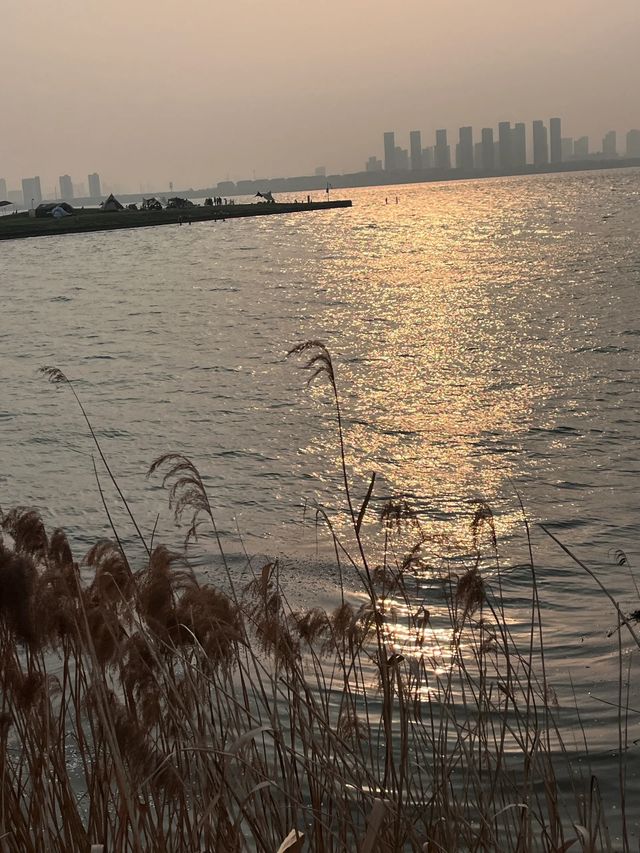蘇州獨墅湖一日遊攻略 | 櫻花與日落交織的春日浪漫