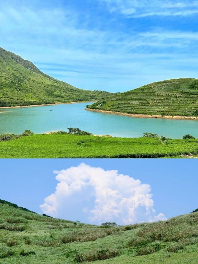 大嵛山島——邂逅現實版的綠野仙蹤