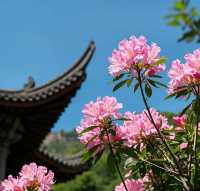 四月浙江週末遊 | 一週一個，小眾地打卡