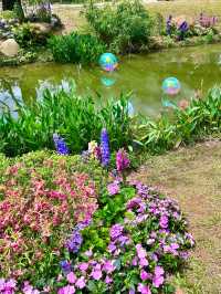 深圳人民公園 | 莫奈秘境花園🫧春日氣氛感  這是深圳市內最早的公園之一，安靜人少，閒暇時來這