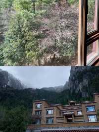 香格里拉｜在雪山冰泉裏做一場寂靜的夢