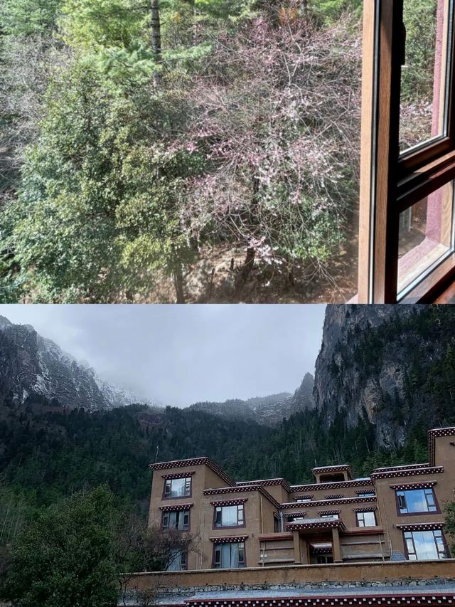 香格里拉｜在雪山冰泉裏做一場寂靜的夢