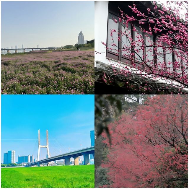 赴一場花與煙火的浪漫之約