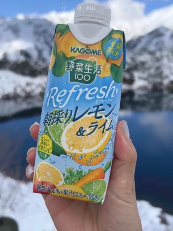 🇯🇵去過立山黑部，人生就沒有遺憾！附攻略