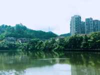 深圳隱藏版世外桃源！豐澤湖超全攻略，Citywalk吸氧必去🌳