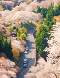 吉野山：春日邂逅之旅