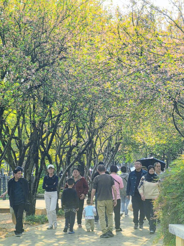 昆明翠湖麗瑞德酒店——西華園