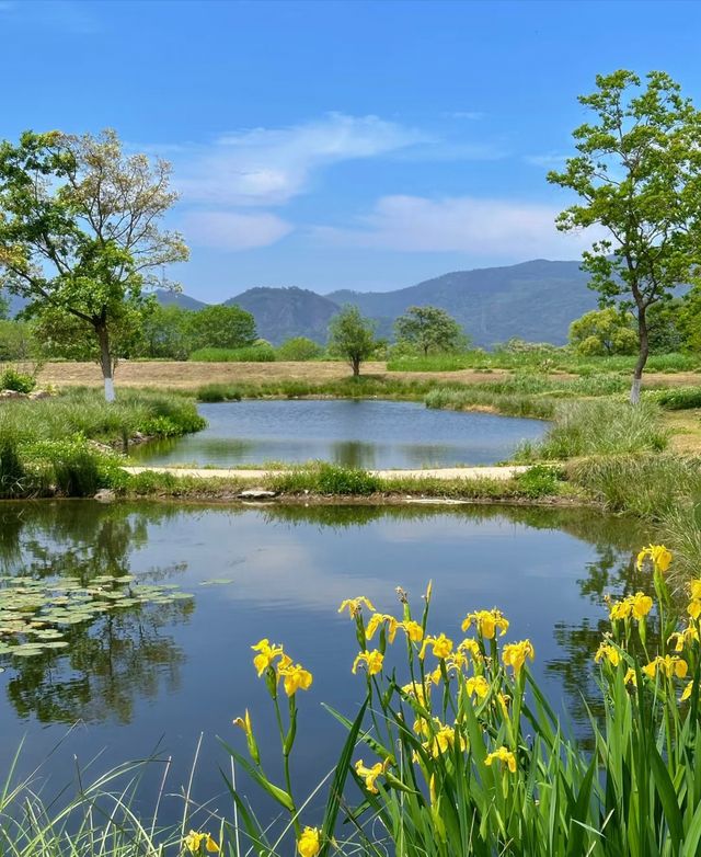 良渚公園