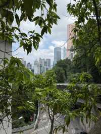 Central To Admiralty - Experience The Concrete Jungle Of Hong Kong 