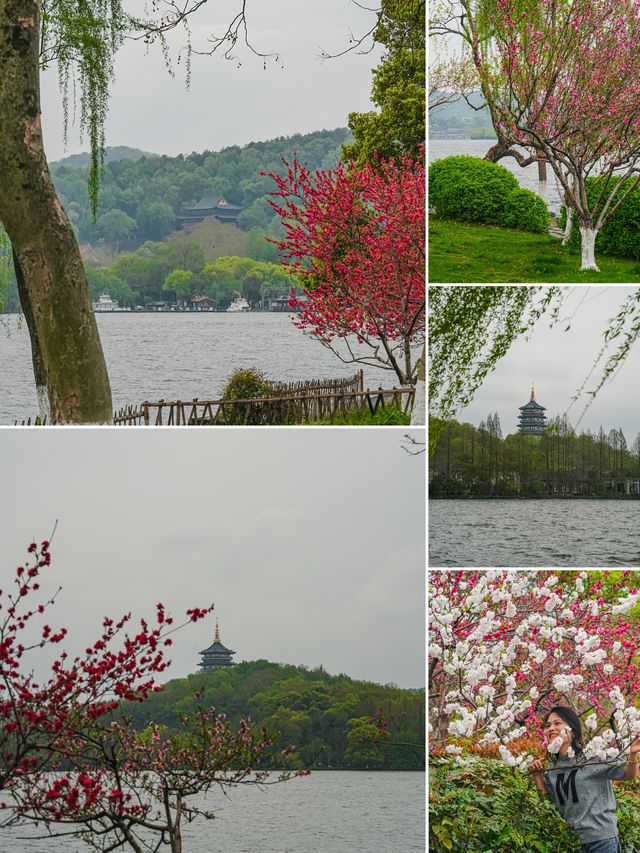 西湖嘅桃花美景，承包成個春天嘅粉紅邂逅