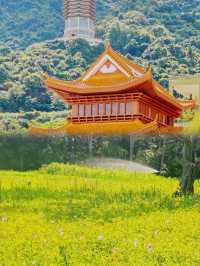 深圳仙湖植物園 美到窒息！