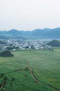 折疊時空的黃金勝景｜羅平油菜花經典路線
