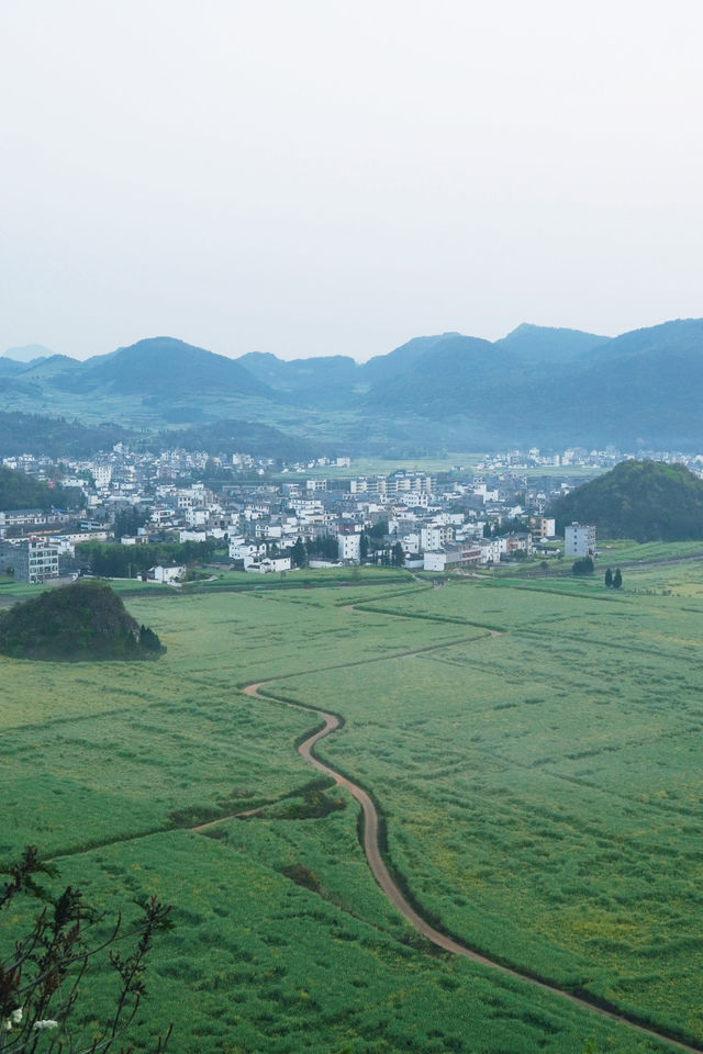 折疊時空的黃金勝景｜羅平油菜花經典路線
