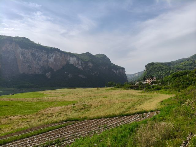 野紀河