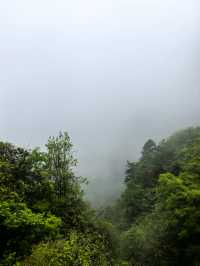 人生建議：帶娃去張家界，一定要去大峽谷