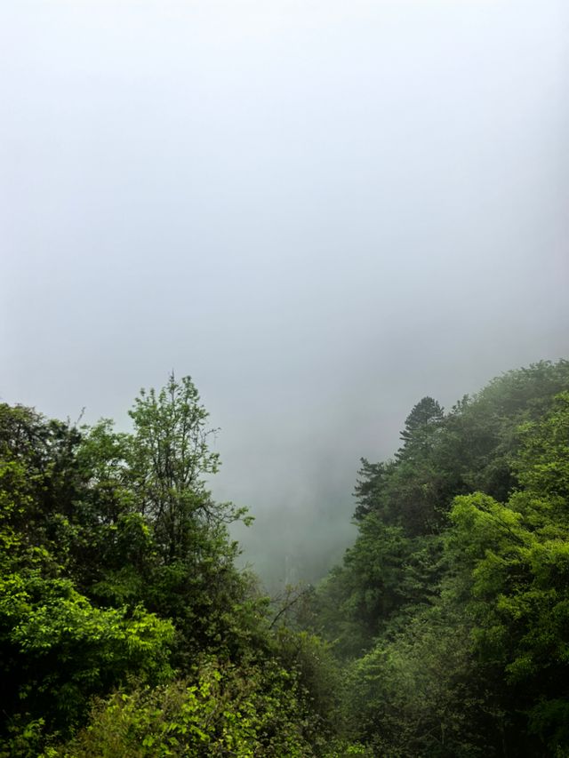 人生建議：帶娃去張家界，一定要去大峽谷
