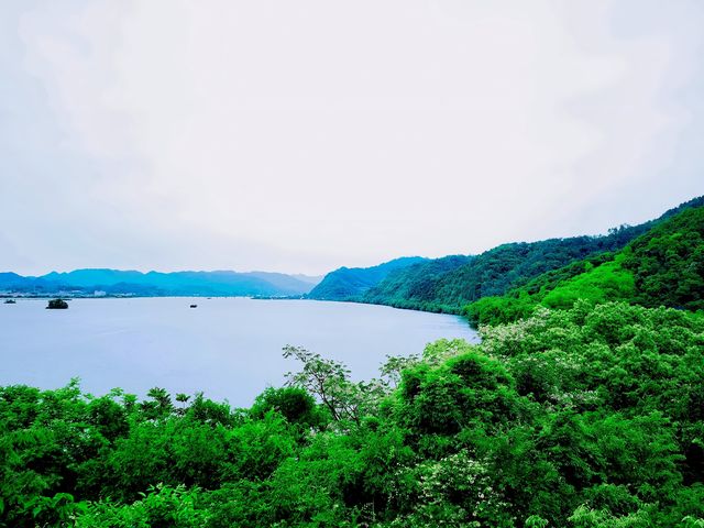富春江畔星舟咖啡館！坐進森海看雲卷雲舒