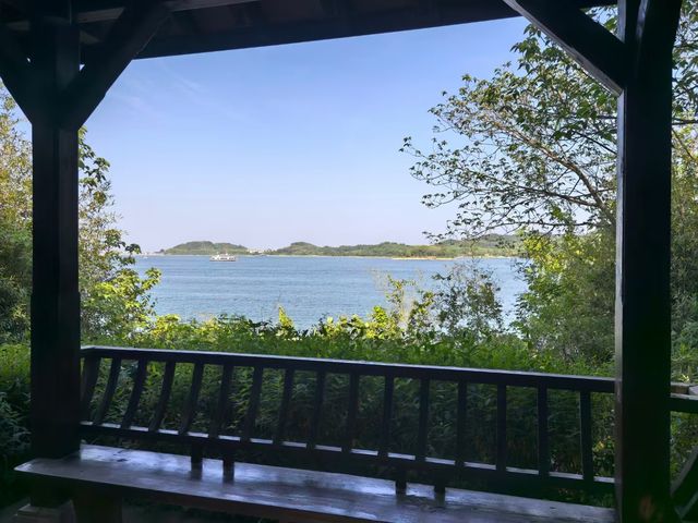 養眼養肺養心~~天目湖涵田度假村養心谷