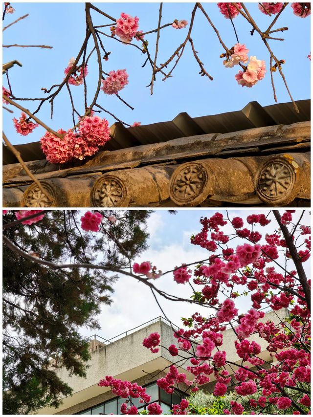 喜洲慢遊｜100個小確幸嘅瞬間