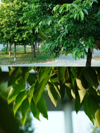 청두｜신두 톈푸 양곡창 정품구 여행 안내!