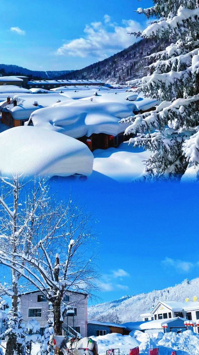 狗熊嶺—雪鄉| 一唔小心闖入咗童話世界