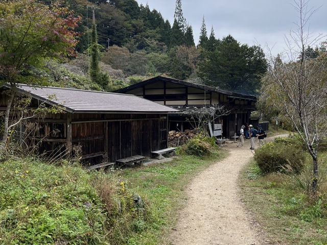 Hiking the Nakasendo Trail: Post Towns, Pit Stops and Where to Stay 🇯🇵 🌲 