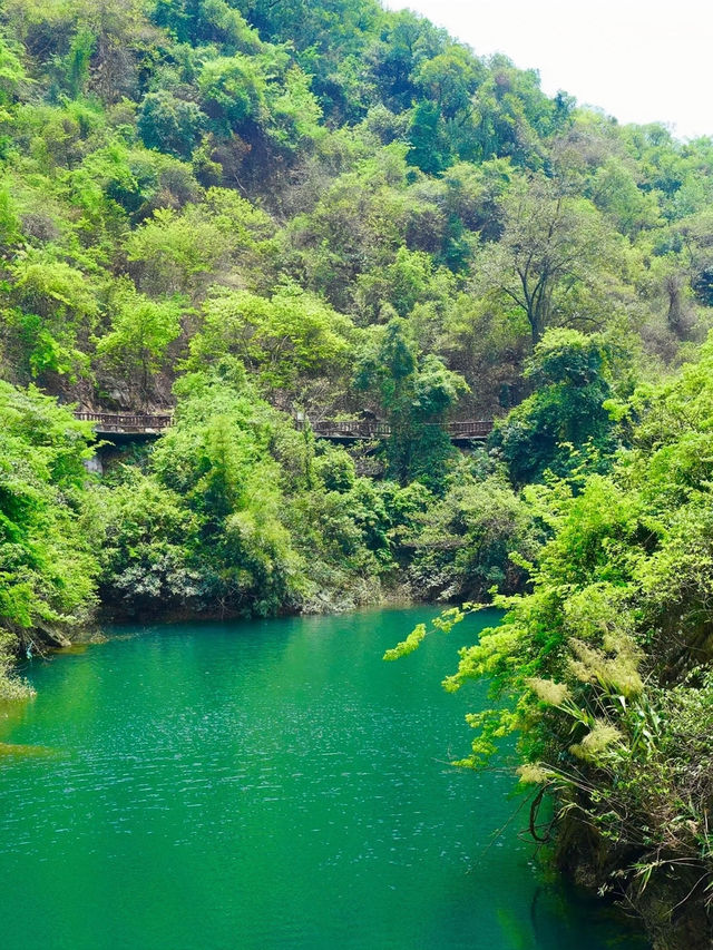 深圳2h直達❗廣東溪降漂流天花板來了❗