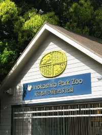 井之頭恩賜公園交通攻略：輕鬆抵達市區綠洲