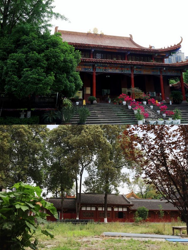 成都向南一半禪意鐵像寺 一半煙火是水街