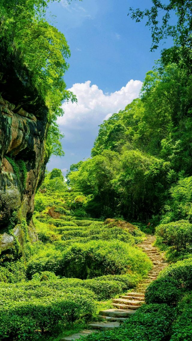 救命！武夷山仲可以咁玩？網友：我驚去咗個假武夷山！