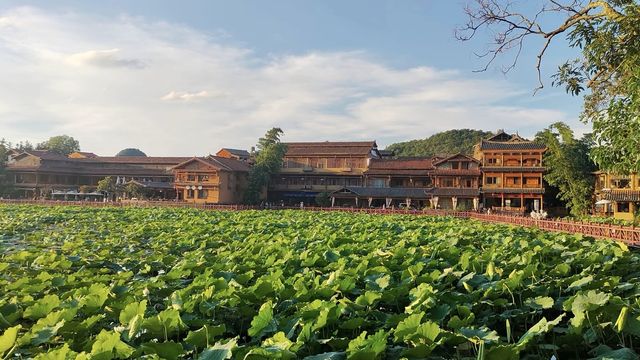 普者黑旅遊大揭秘：隱藏喺山水間嘅神秘角落