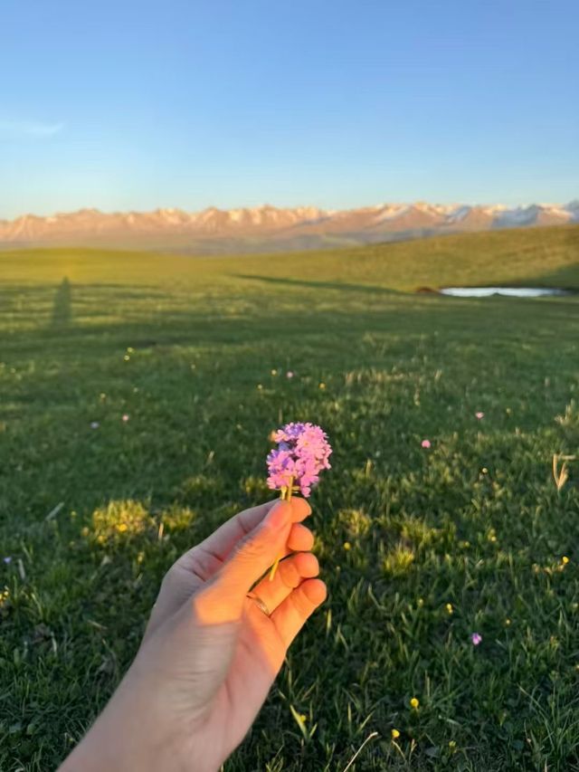 端午去新疆！闖入喀拉峻嘅童話草原秘境