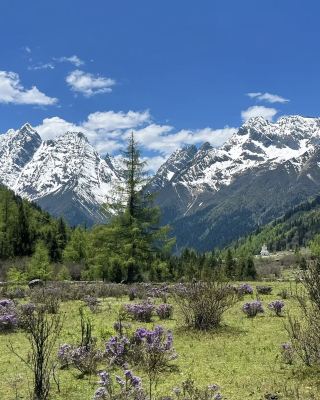 Just got back from Western Sichuan, to be honest...