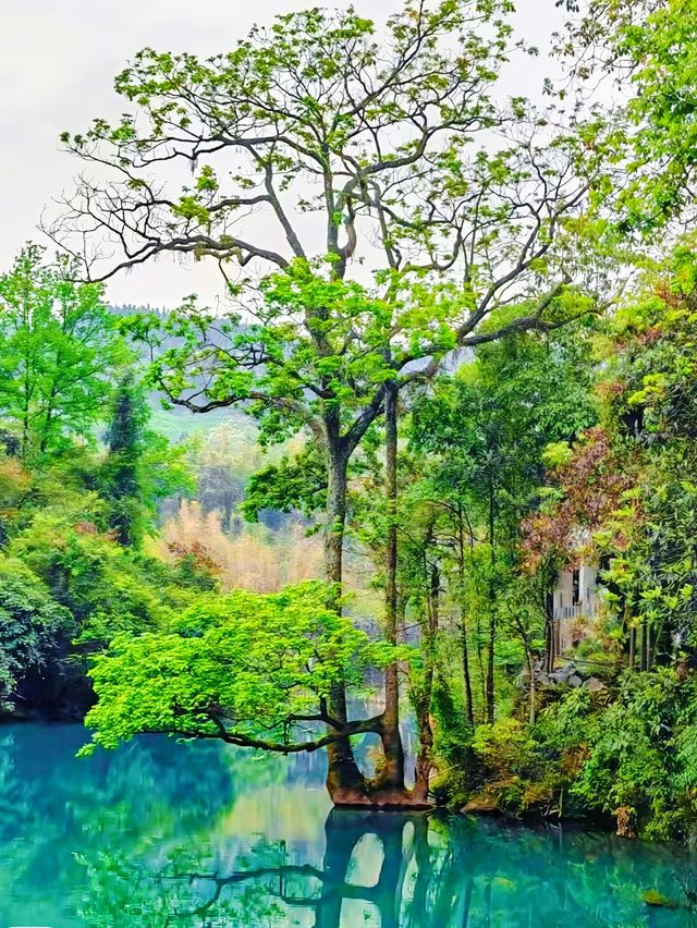跌入綠寶石！荔波の山水小精靈收養手冊