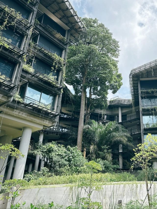 萬態雨林悅榕莊