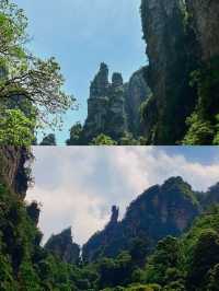 仙境張家界，奇峰三千醉天下