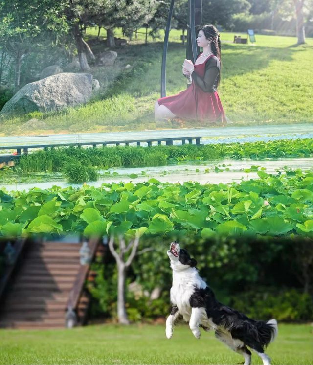 全球優質別墅體驗！蘇州裸心泊玩到樂而忘返
