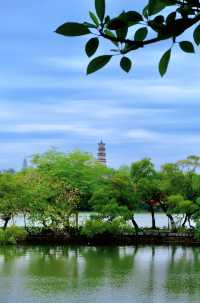 惠州西湖荔浦風清打卡攻略