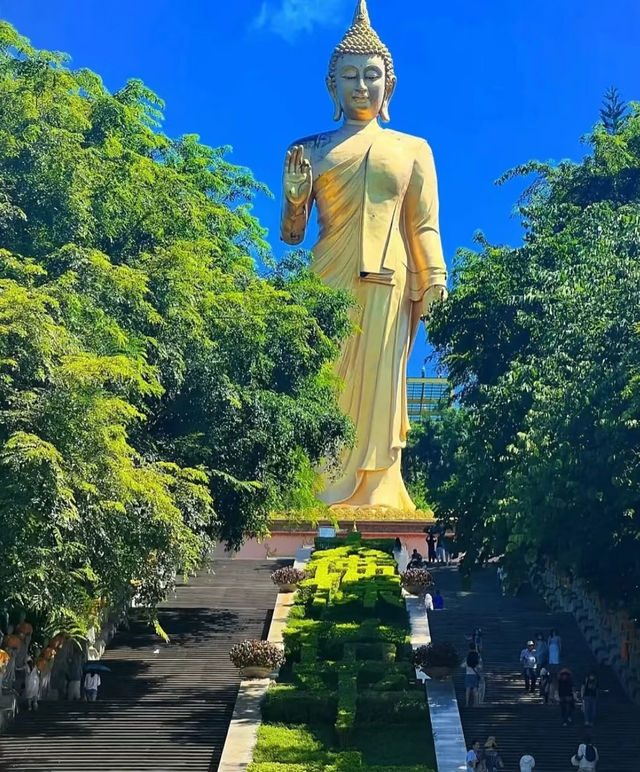 #西雙版納之旅  西雙版納是中國雲南省最熱門嘅旅遊目的地之一，以其熱帶雨林、傣族文化、豐富嘅動植物資