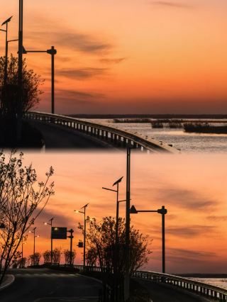 Escape the Heat Plan! Embrace the Cool Romance of Thousands of Acres of Lotus Flowers on Weishan Island