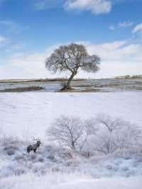 你可以永遠相信錫盟的雪景，驚艷冬日時光！