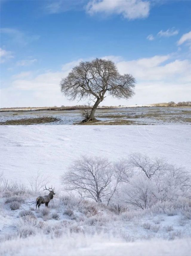 你可以永遠相信錫盟的雪景，驚艷冬日時光！