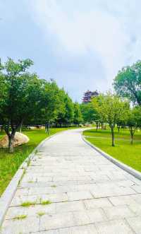 夏日暢遊煙台牟平沁水河口國家濕地公園