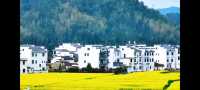 邂逅篁嶺，赴一場夢幻的田園之約   踏入篁嶺，彷彿穿越時空，走進了一幅被歲月珍藏的江南畫卷。連綿的山