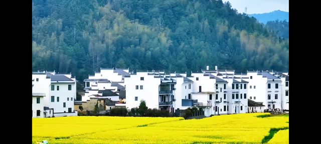 邂逅篁嶺，赴一場夢幻的田園之約   踏入篁嶺，彷彿穿越時空，走進了一幅被歲月珍藏的江南畫卷。連綿的山