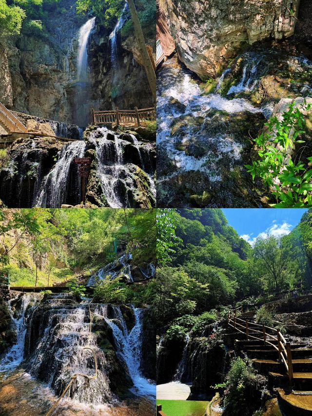 山上喘氣落山腳震去一次愛一次嘅王府竹海！今次嚟狠狠愛上咗