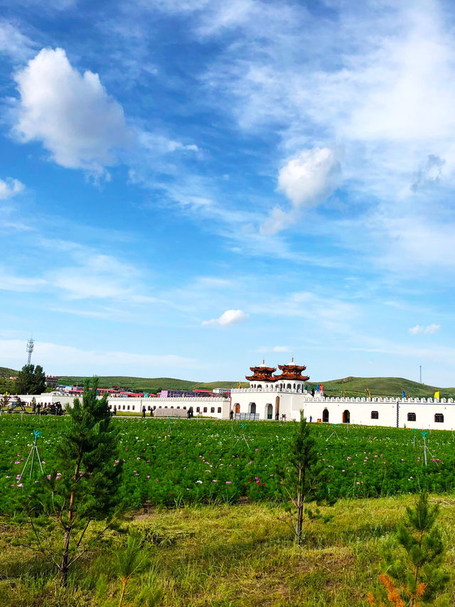 策馬登高崗，俯瞰帝國版圖密碼浮現