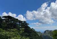 黃山蓮花峰暑假開放嗎？有哪些免費人群？