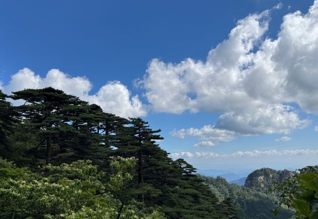 黃山蓮花峰暑假開放嗎？有哪些免費人群？
